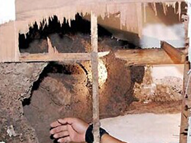 南城白蟻預(yù)防中心主要防治白蟻危害的兩個(gè)方面