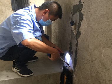 虎門白蟻防治機構(gòu)為什么要對白蟻進(jìn)行普查