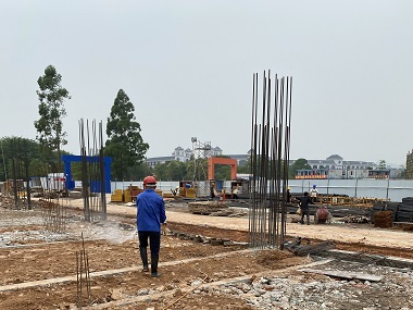 東莞白蟻控制中心新建房屋基礎(chǔ)預(yù)防白蟻指南